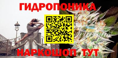 круглые Краснознаменск