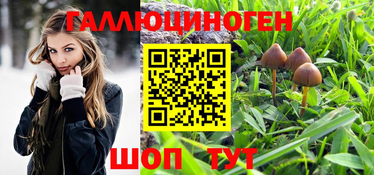 Псилоцибиновые грибы GOLDEN TEACHER Куйбышев